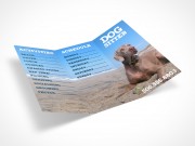 8.5 x 11 Tri-Fold Brochure Mockup 21r